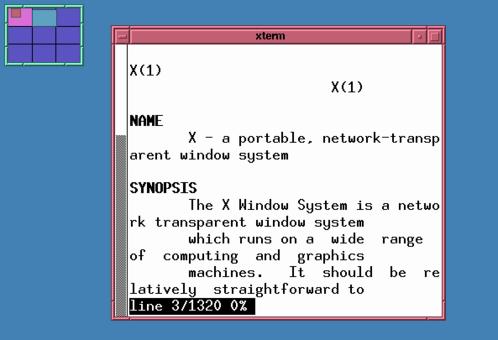 figure/a2-fvwm-xterm