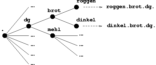 albero dei domini