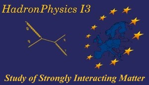 Hadron Physics I3