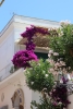 Channeling 2014 - Capri