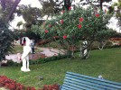 Channeling 2014 - Capri