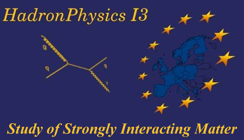logo Hadron Physics