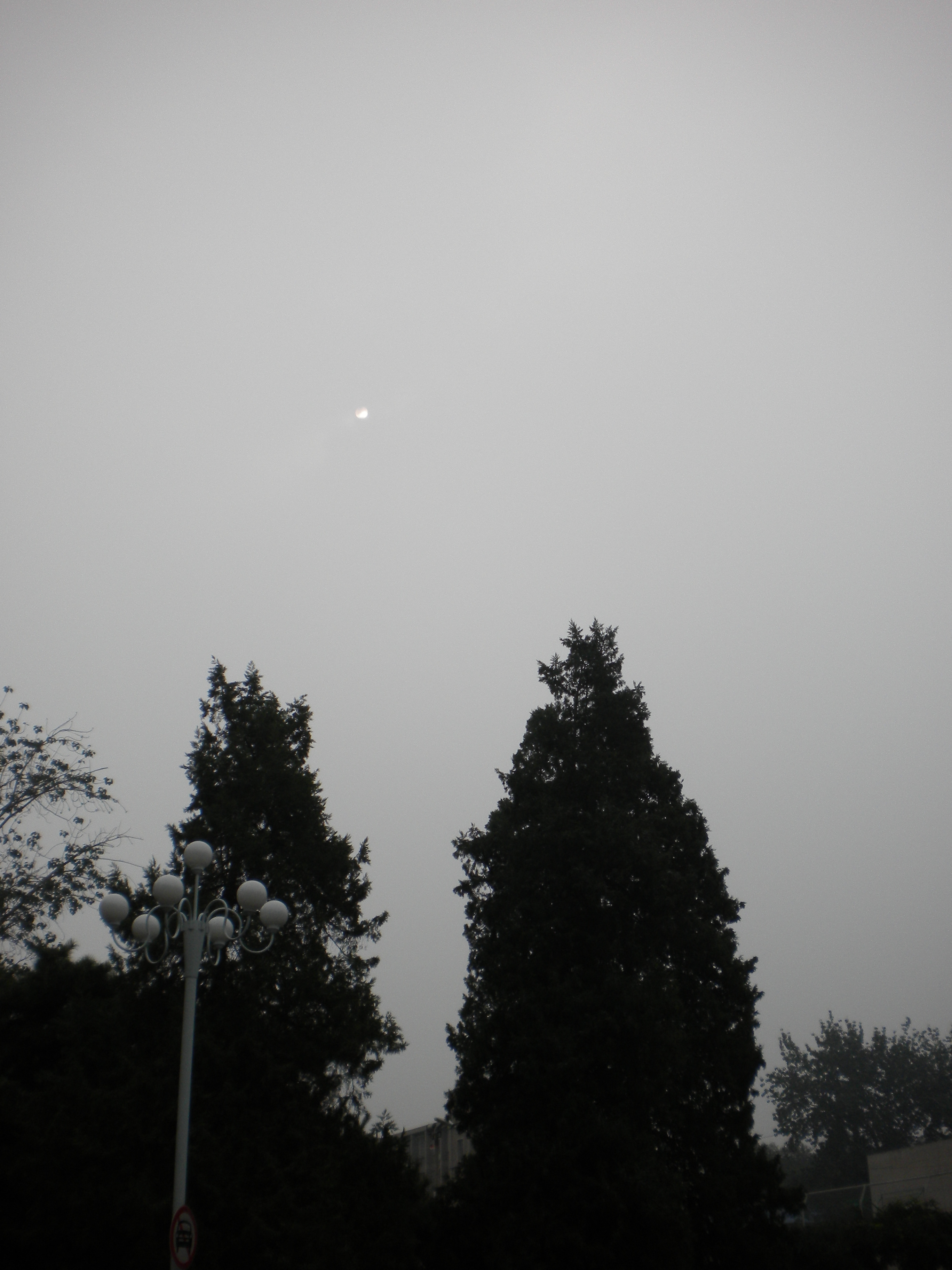 DSCN4058