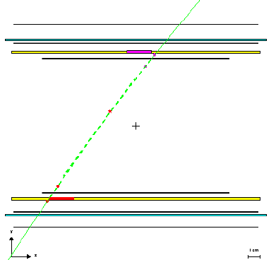 central detector: yz-plane
