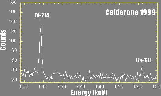 Fig. 8. Spettro gamma.