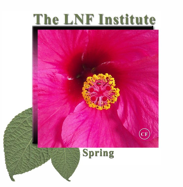 The 2010 Spring Program