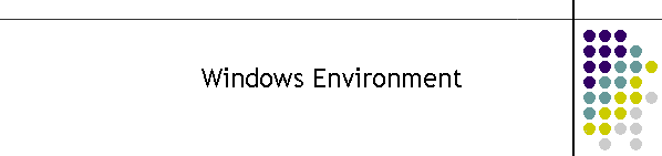 Windows Environment