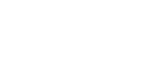 INFN-LNF Logo